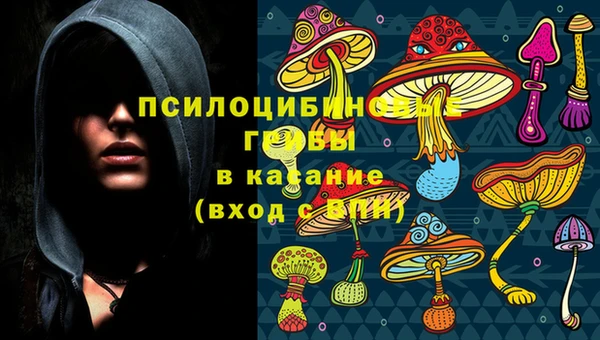 MESCALINE Алзамай