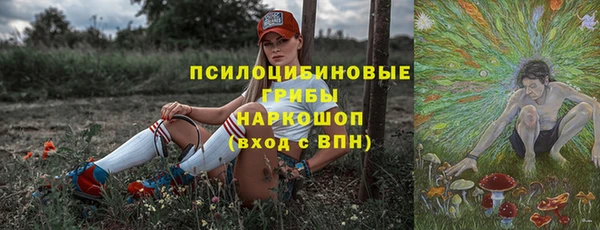 круглые Алексеевка